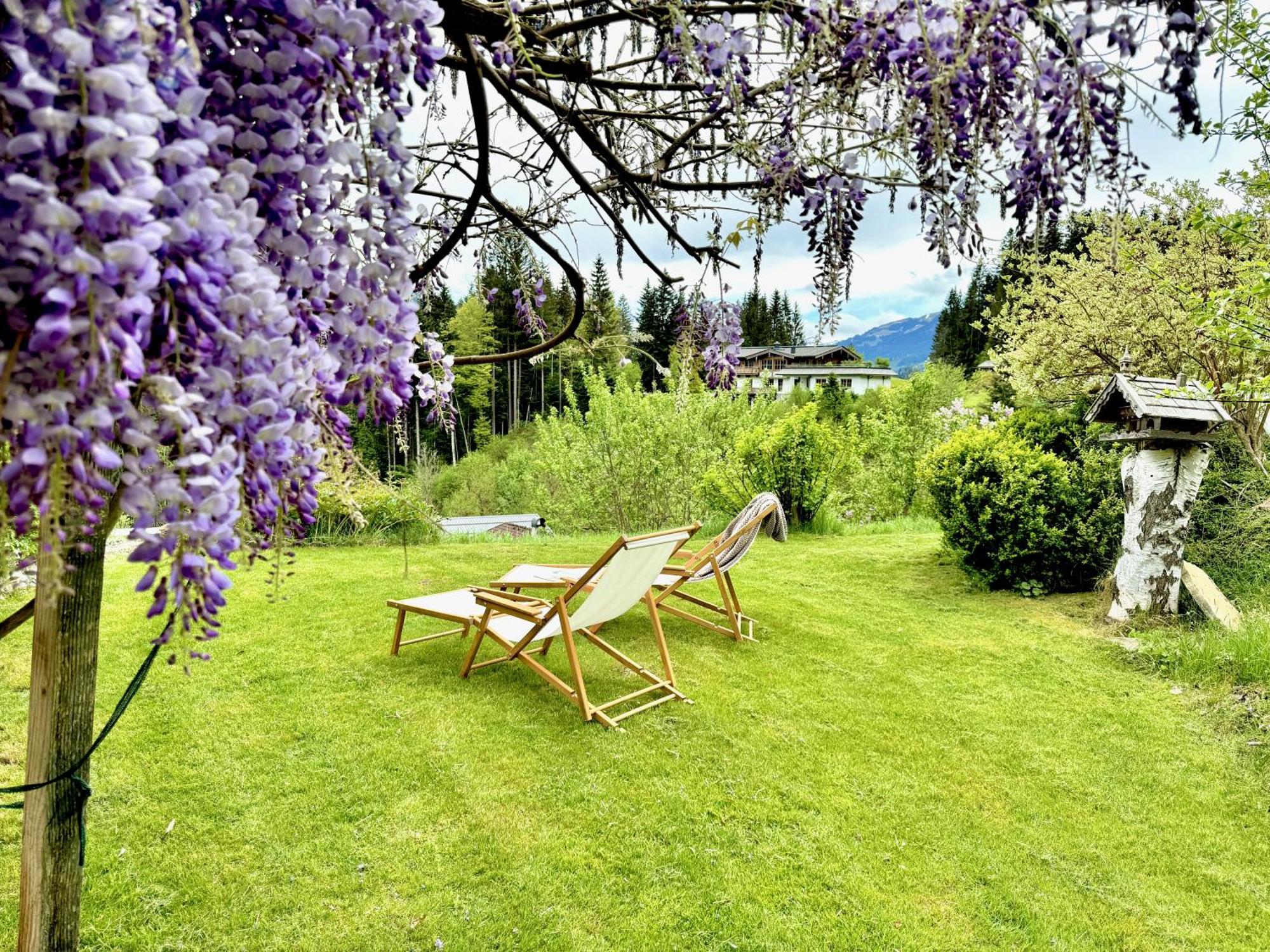 5* Panorama Chalet Mit Sauna By Belle Stay Going am Wilden Kaiser المظهر الخارجي الصورة